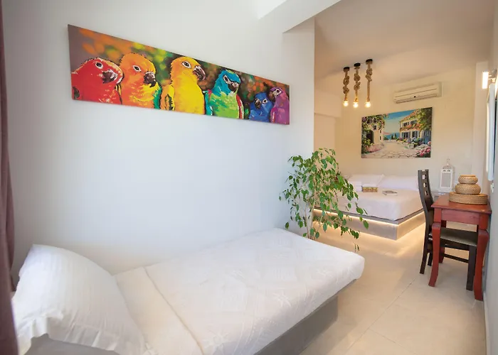 Arlene 게스트하우스 메사리아